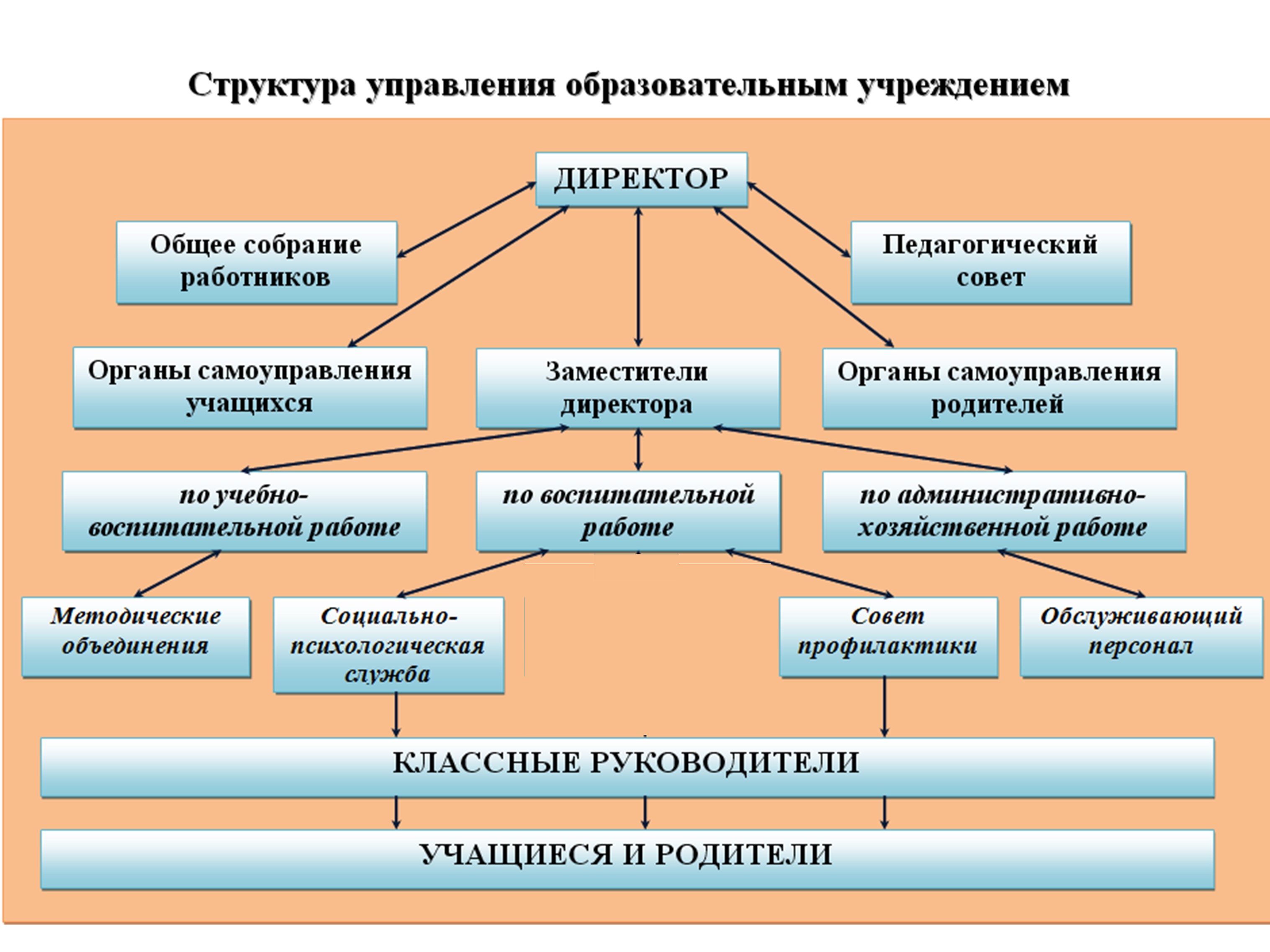 Структура и органы управления образовательной организацией